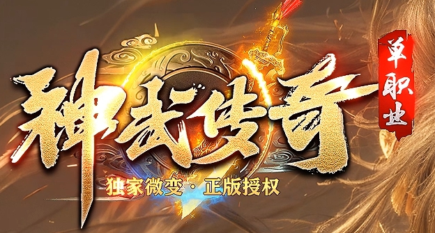 盛游网络